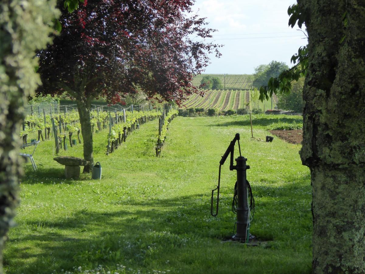 La Vigneraie de Laura: Gîte Entre Vignes et Chênes Sainte-Colombe (Gironde) Exterior foto