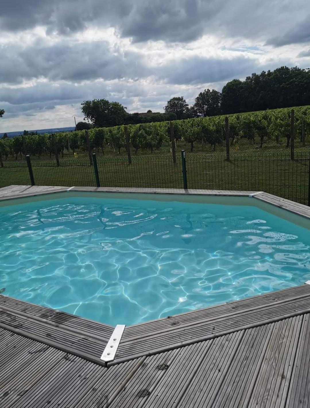 La Vigneraie de Laura: Gîte Entre Vignes et Chênes Sainte-Colombe (Gironde) Exterior foto